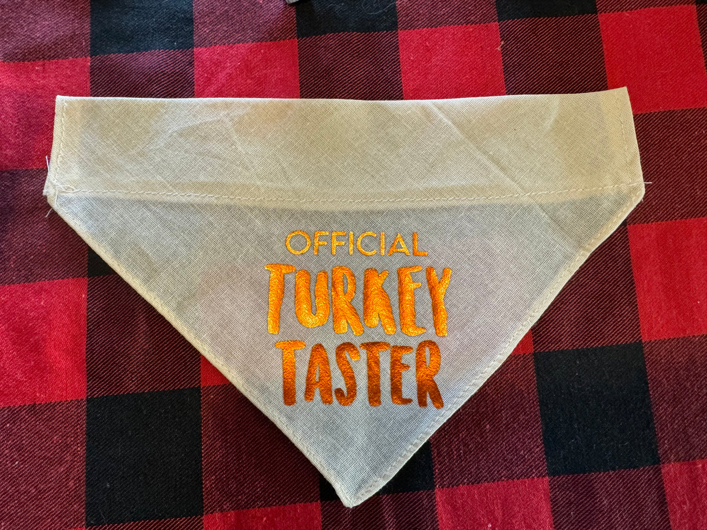 Collar Bandana