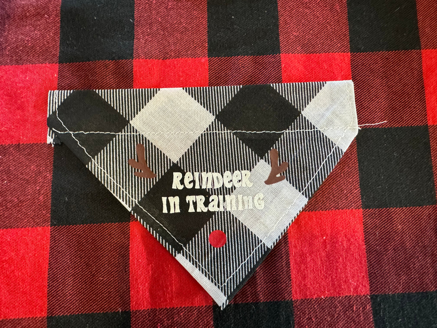 Collar Bandana