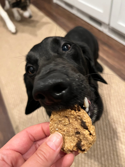 Choco Chip Cookies